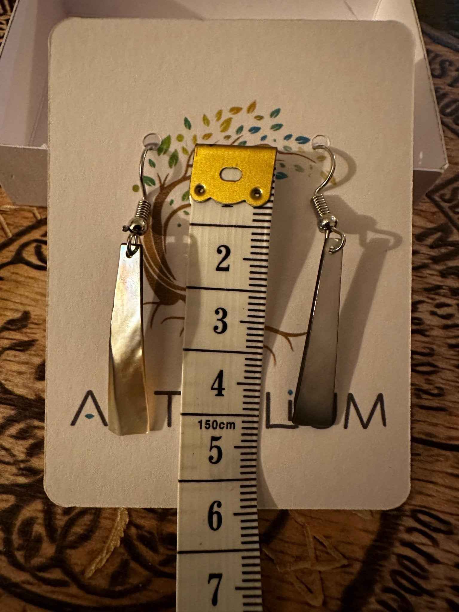 Abalone Shell Earrings - Unique Sea Jewelry Drop Design