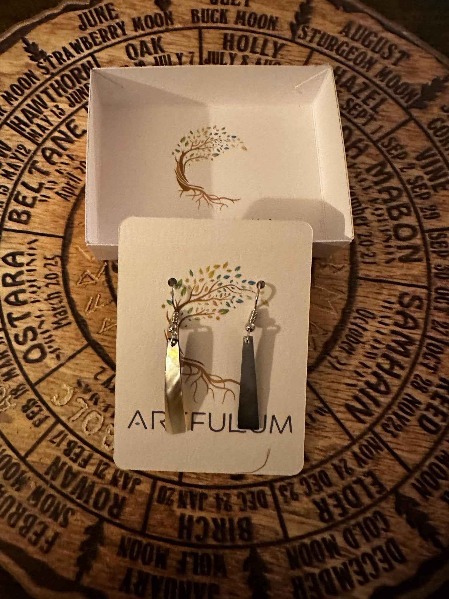 Abalone Shell Earrings - Unique Sea Jewelry Drop Design